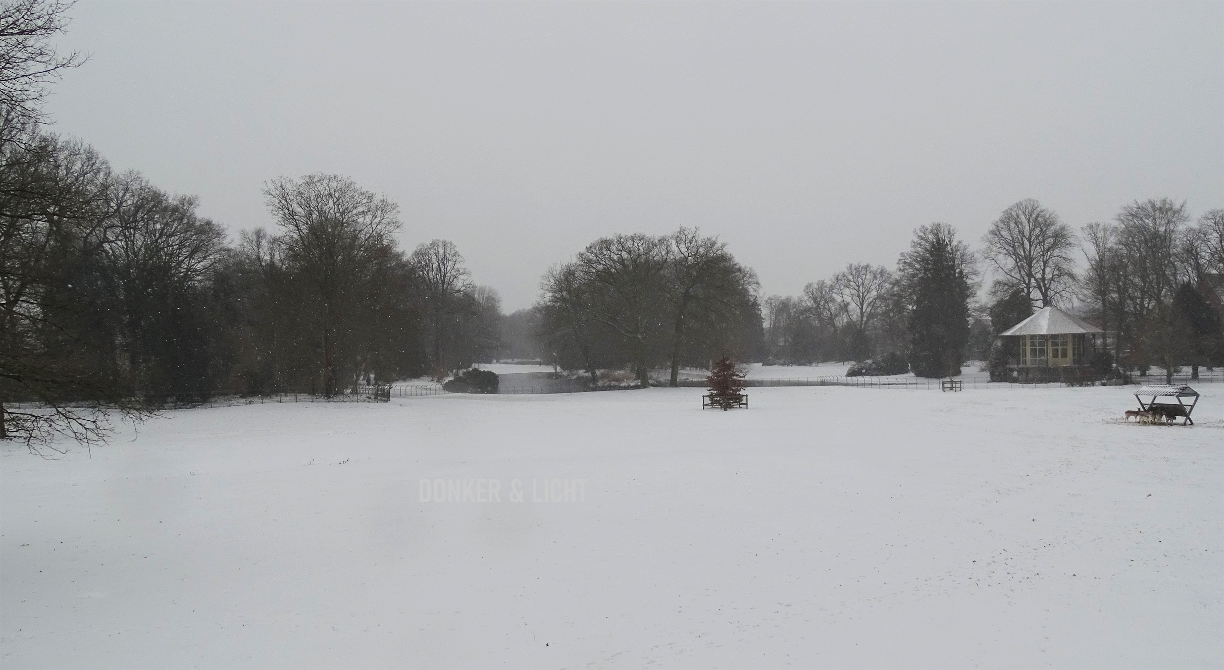 Winter in Steenwijk